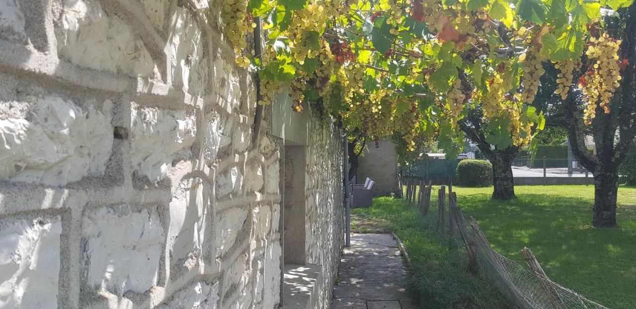 Wifi Clim Garage Jardin Bbq Cosy House Villa Brive-la-Gaillarde Luaran gambar